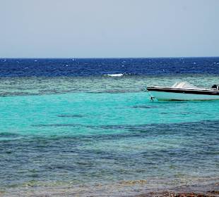 Przepiękna rafa koralowa w okolicach hotelu Tropitel Oasis 