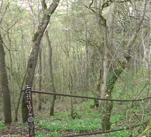 Wanderung rund um das Rusenschloss Gerhausen