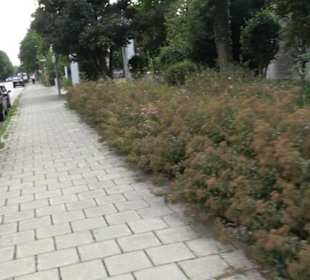 Pfarrkirche St. Martin