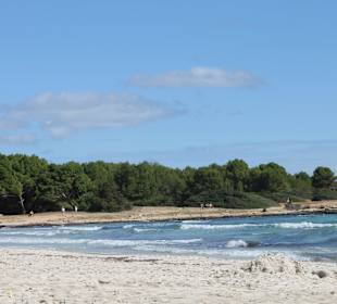 Strand von Sa Coma