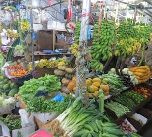 Unterwegs im einheimischen Markt 