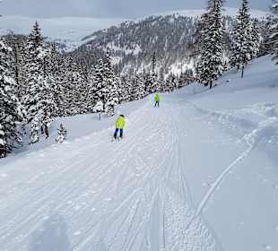 Sport Schiffer Ski- & Sportschule Innerkrems 