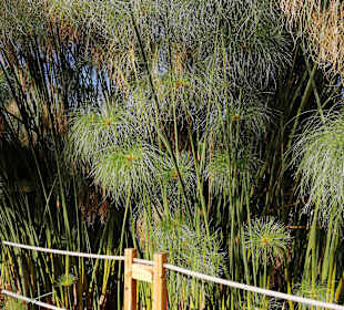 Crocopark