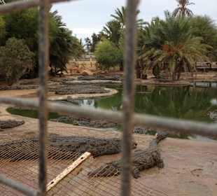 Wie unecht... aber echt 