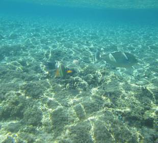 Unter Wasser