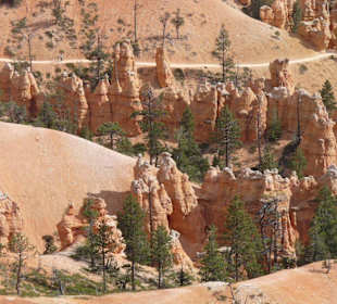 Bryce Canyon N.P.