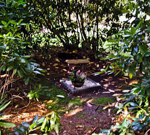 Кладбище Ольсдорф, Гамбург, 16 сентября 2013 года