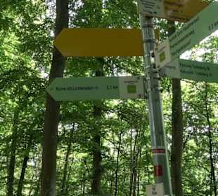 Burg Alt-Lichtenstein