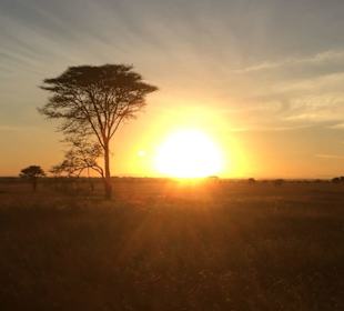 Panorama Sonnenaufgang 