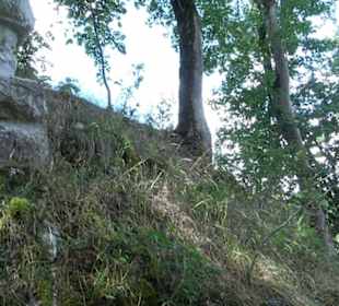 Burgruine Blankenstein