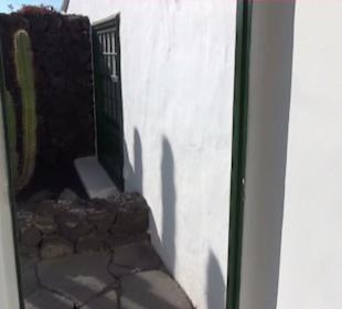 Fundacion Cesar Manrique