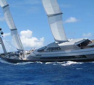 Der Malteser Falke, Bucket Regatta