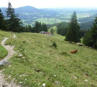 Bucheralm