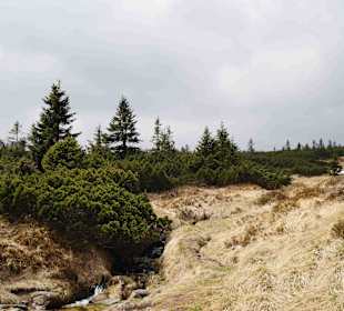 Berg Schneekoppe/Śnieżka
