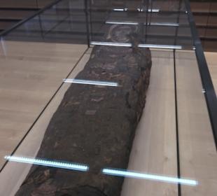 Skulpturensammlung