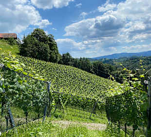 Wandern Gamlitz