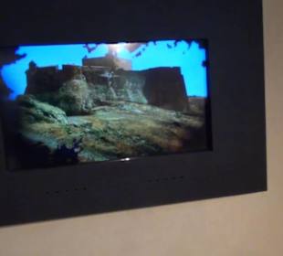 Museo de la Piratería