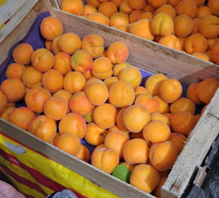 Rundgang über den Wochenmarkt von Port Vendres