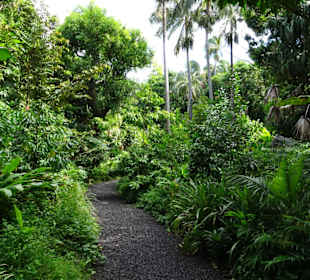 Rundgang durch den Duft- und Gewürzgarten