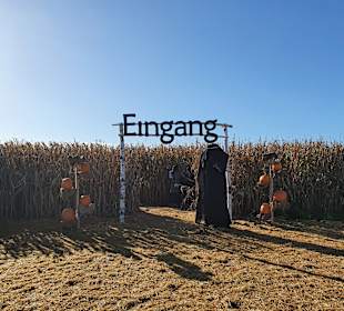 Bauer-Lipp Weiterstadt