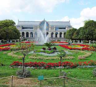 Impressionen vom französischen Parterre der Flora