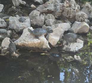 Im Stadtpark Athen