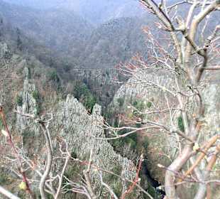 Blick ins Bodetal