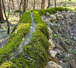 Die Steinerne Rinne
