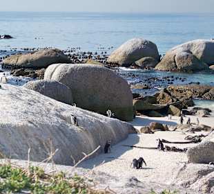 Boulders Beach