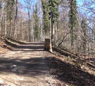 Wandertour Eppenzill