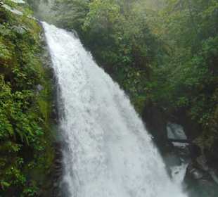 La Paz Waterfall Gardens