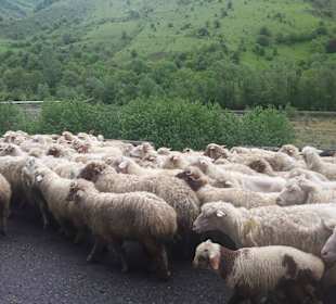 Gruzińska Droga Wojenna