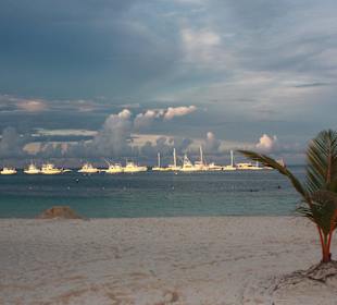 Ankerplatz der Yachten