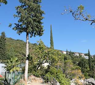 Promenaden-Bummel auf der Lungomare bei Opatija