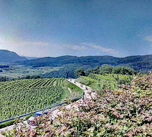 Wandern Liebenau