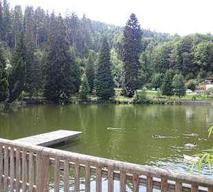 Bergsee Triberg