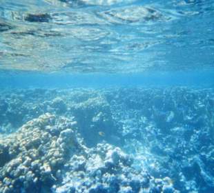 Schnorcheln am Riff