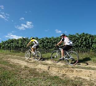 Sport & Freizeit