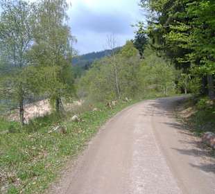 Am Uferweg