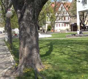 Krautmarkt