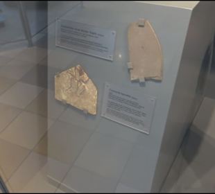 Jura-Museum