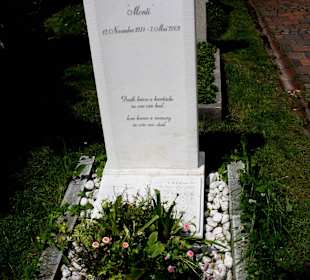 Monti Lüftner, Musikproduzent