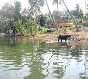 10€-Tagesausflug Backwater