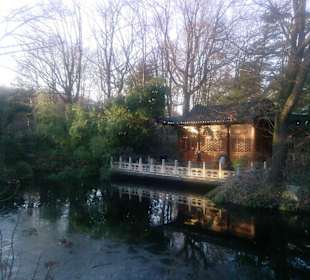 Winterlicher Spaziergang im Duisburger Zoo