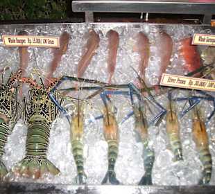 Frische Fische im Restaurant Tropical in Nusa Dua