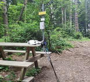 Am Gespitzter Riegel ( 594 m )