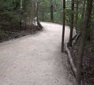 Dinosaurier Museum Altmühltal