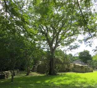 Ausflug mit Daniel zu den Maya Ruinen in Muyil