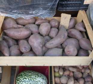 Am Samstag ist zusätzlich der Bauernmarkt