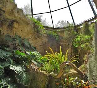 In den historischen Gewächshäusern